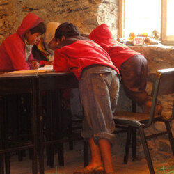 Diverse foto's uit 2012